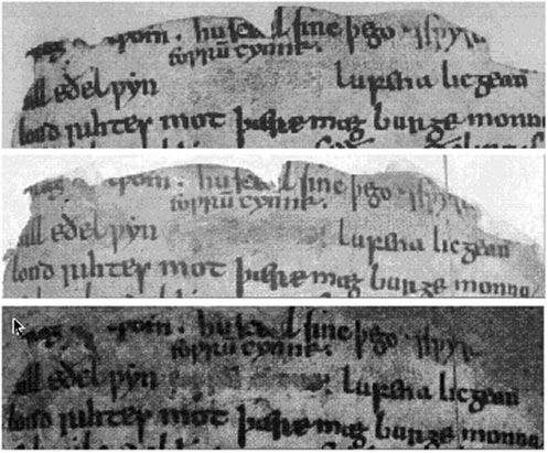 beowulf-pict picture of beowulf text
